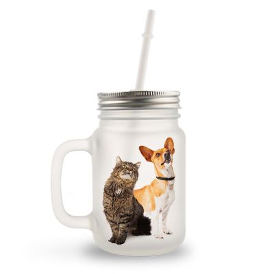 Personal Glass Mason Jar With Handle, Lid, and Straw - Image 4